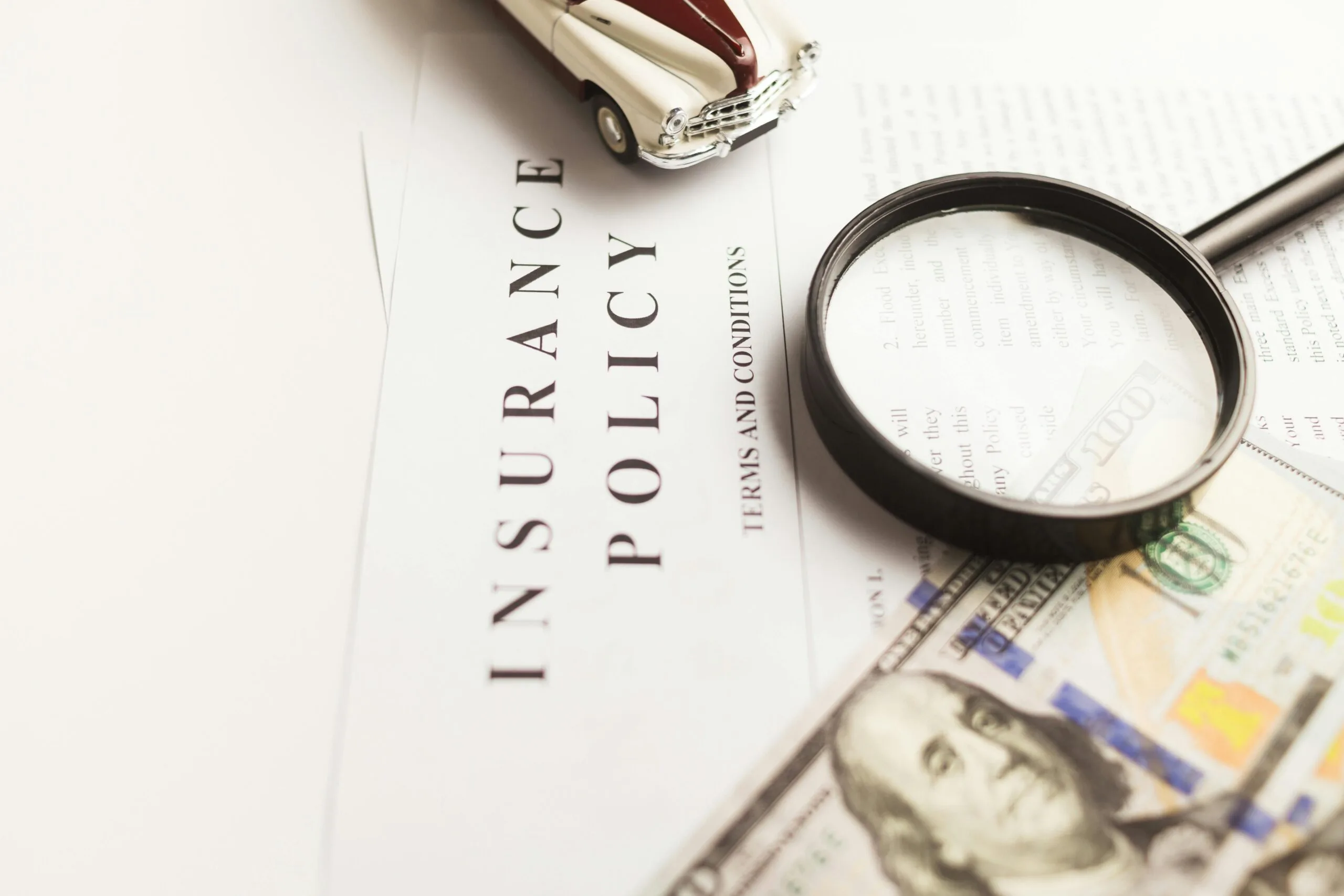 Insurance professional reviewing policy documents